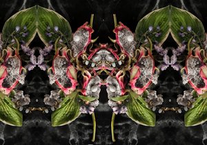 Eve_01, 2016 (Zdjęcia) autorstwa Ana Carolina Tavares Mizrahi