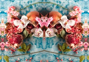 Eve_04, 2016 (Zdjęcia) autorstwa Ana Carolina Tavares Mizrahi