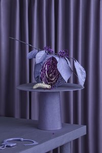 The _Farewell_Party_03, 2016 (fotografia)