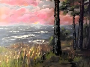 Różowe niebo, ocean i zachód słońca
