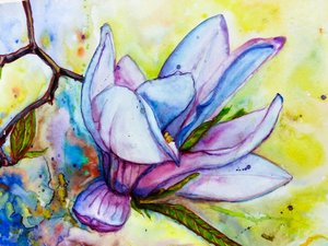 Żywe kwiaty magnolii autorstwa Anda Bieza
