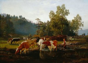 Krowy nad rzeką