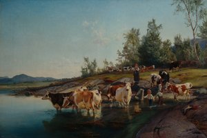 Krowy nad morzem autorstwa Anders Askevold