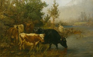 Krowy nad wodą