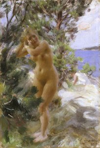 Po kąpieli autorstwa Anders Leonard Zorn