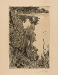 Kuracjusz autorstwa Anders Leonard Zorn