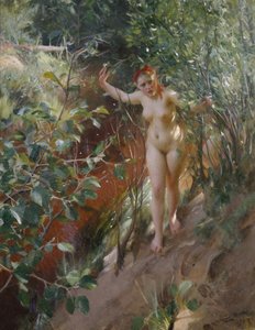 Czerwony piasek autorstwa Anders Leonard Zorn