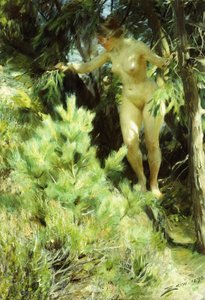 Drewno-Sprite, 1892 autorstwa Anders Leonard Zorn