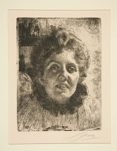  autorstwa Anders Zorn