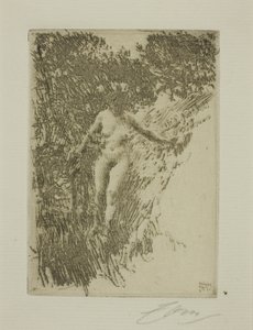 Chrust autorstwa Anders Leonard Zorn
