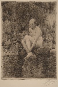  autorstwa Anders Zorn