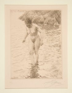 dolarów autorstwa Anders Leonard Zorn