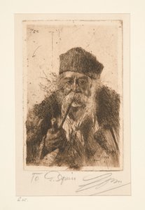 Kat z Siebenburger (Cygan węgierski) autorstwa Anders Leonard Zorn