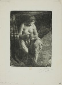 Naprawa autorstwa Anders Leonard Zorn