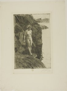 Przepaść autorstwa Anders Leonard Zorn