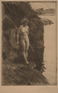  autorstwa Anders Zorn