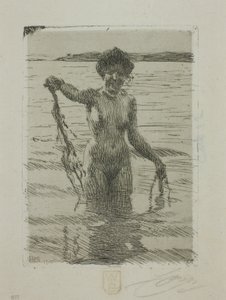 Wodorost autorstwa Anders Leonard Zorn