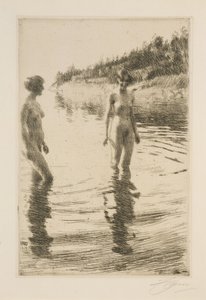  autorstwa Anders Zorn