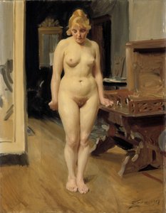  autorstwa Anders Zorn