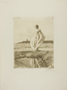 Łabądź autorstwa Anders Leonard Zorn