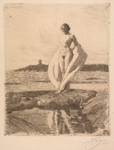 Łabądź autorstwa Anders Leonard Zorn