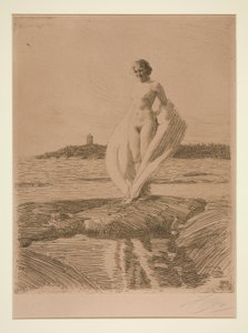 Łabądź autorstwa Anders Leonard Zorn