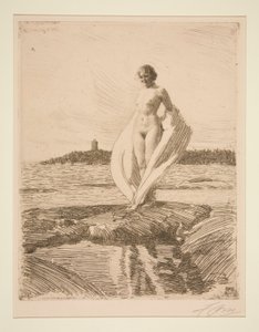 Łabądź autorstwa Anders Leonard Zorn