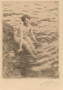 Mokro autorstwa Anders Leonard Zorn
