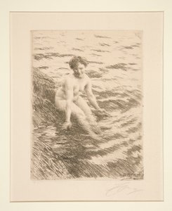 Mokro autorstwa Anders Leonard Zorn