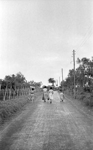 GORZKIE WINOGRONA - W KIERUNKU PRZYDZIELONEGO STANOWISKA autorstwa Ando Gilardi