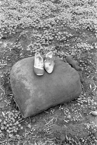 BUTY RACCOGLITRICE Z OLIWEK autorstwa Ando Gilardi