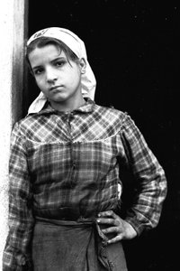 Młoda dziewczyna pracująca jako zbieraczka oliwek w Kalabrii, Włochy, ok. 1955 r. (zdjęcie czarno-białe)