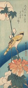 Wilga czarnowłosa na łodydze róży, ca. 1834., ca. 1834. autorstwa Ando Hiroshige