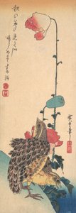 Para przepiórek i maków, ca. 1835., ca. 1835. autorstwa Ando Hiroshige