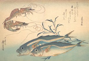 Aji Fish i Kuruma-ebi, z serii Uozukushi Every Variety of Fish, 1830., 1830.