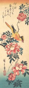 Pliszka szara i róża, początek lat 30. XIX wieku, początek lat 30. XIX wieku. autorstwa Ando Hiroshige