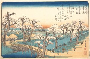 Blask wieczoru na granicy Koganei, XIX wiek. autorstwa Ando Hiroshige