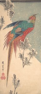 Bażant złocisty i pędy sosny w śniegu , ok. godz. 1835., ca. 1835. autorstwa Ando Hiroshige