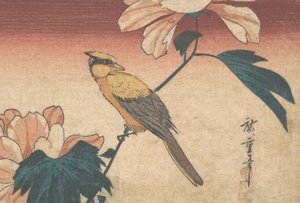 Hibiscus Mutabilis i Jay, ca. 1840 r., ok. 1840 r. 1840 autorstwa Ando Hiroshige