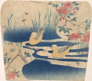 Mewy Zakapturzone i Kwiaty Wiśni, prawdopodobnie 1850-62., prawdopodobnie 1850-62. autorstwa Ando Hiroshige