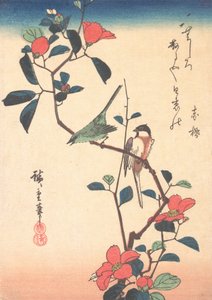 Japoński białookie i sikorki na gałęzi kamelii, ca. 1840., ca. 1840. autorstwa Ando Hiroshige