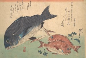 Kurodai i Kodai Fish z bambusowymi pędami i jagodami, z serii Uozukushi Every V..., lata 30. XIX wieku. autorstwa Ando Hiroshige