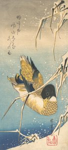 Kaczka krzyżówka i ośnieżone trzciny , ca. 1832., ca. 1832. autorstwa Ando Hiroshige