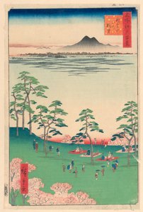Widok na północ ze wzgórza Asuka (Asuka-yama Kita no Chobo) Z serii Sto słynnych widoków Edo autorstwa Ando Hiroshige