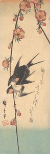 Kwiaty gruszy i jaskółki, ca. 1840., ca. 1840. autorstwa Ando Hiroshige