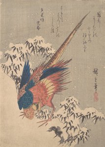Bażant wśród zaśnieżonych bambusów na zboczu wzgórza, ok. godz. 1840., ca. 1840. autorstwa Ando Hiroshige