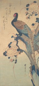 Bażant z Chryzantemami, ca. 1835., ca. 1835. autorstwa Ando Hiroshige