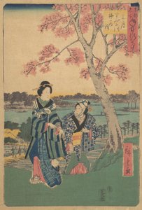 Oglądanie kwiatu śliwy w trzecim miesiącu nad rzeką Sumida z cyklu Annual Events at F..., 1854. autorstwa Ando Hiroshige