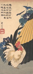 Kogut, Parasol i Morning Glories, ca. 1830 r., ok. 1830 r. 1830. autorstwa Ando Hiroshige