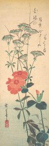 Wspaniałe róże i rzepik chiński, ca. 1836., ca. 1836. autorstwa Ando Hiroshige